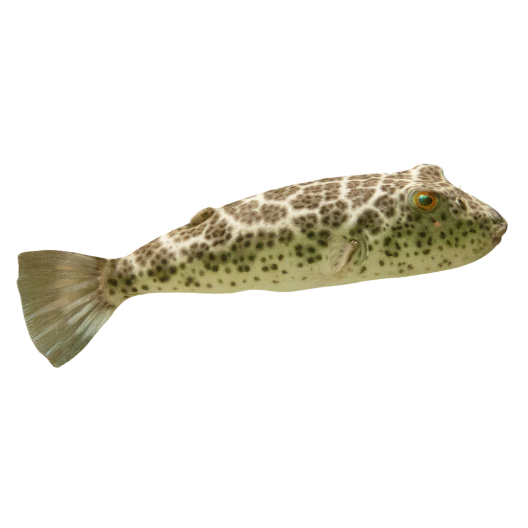 newsitephotos_a53b33b3-e5b7-4b13-9282-8b1e144f4513